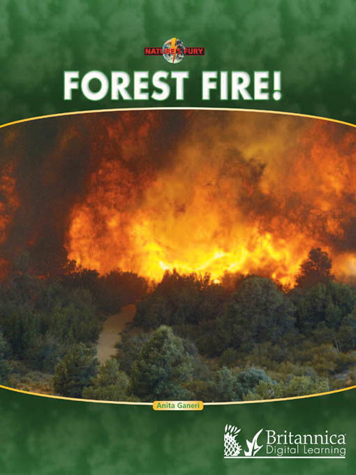 Title details for Forest Fire! by Anita Ganeri - Available